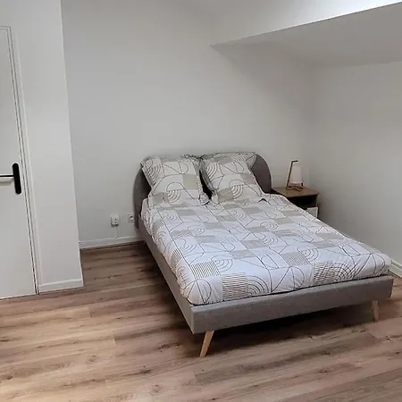 Bel Appart' 3 3 Sdb Au Centre-ville St Etienne *