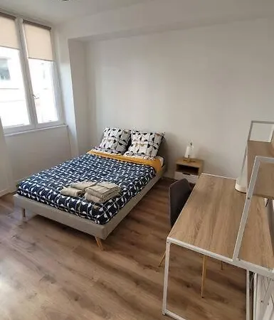 Bel Appart' 3 3 Sdb Au Centre-ville St Etienne