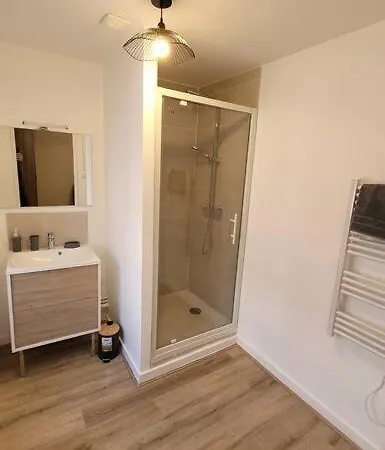 Bel Appart' 3 3 Sdb Au Centre-ville St Etienne *